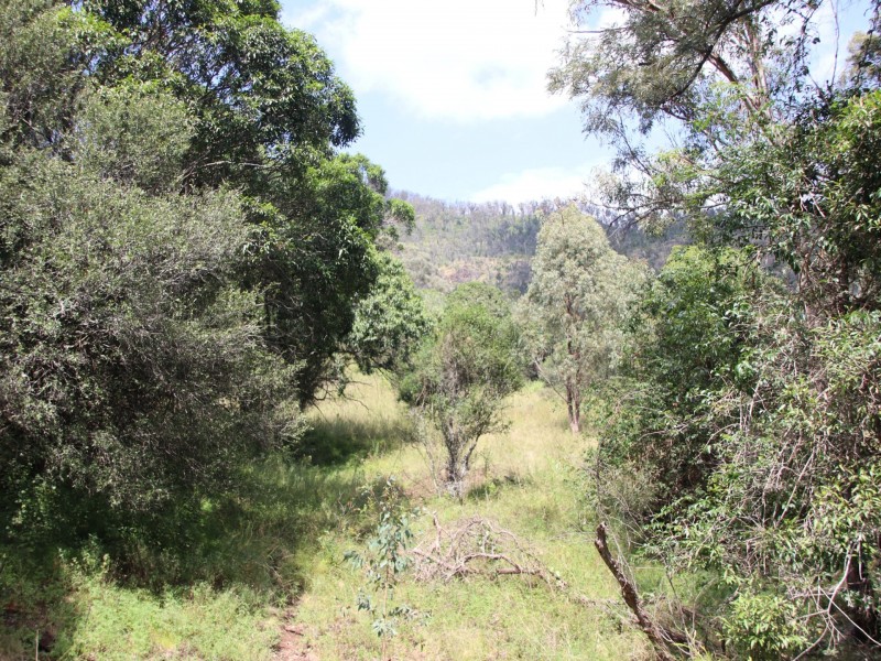 Lot 4 Dollar Bill Drive, Yangan QLD 4371