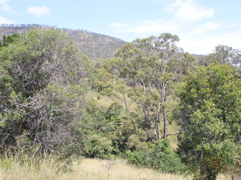 Lot 4 Dollar Bill Drive, Yangan QLD 4371