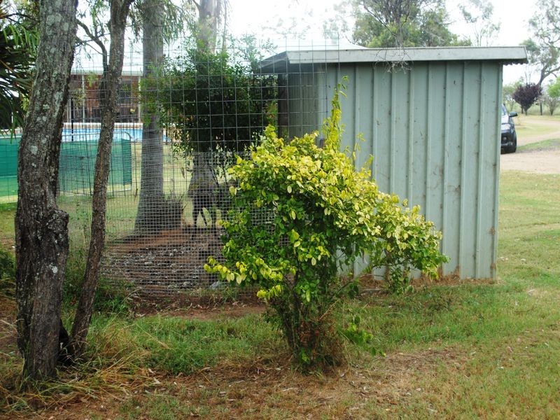 177 Weidman’s Road, Warwick QLD 4370