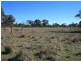Lot 2193 Montrose Lane, Clintonvale QLD 4370