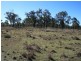 Lot 2193 Montrose Lane, Clintonvale QLD 4370