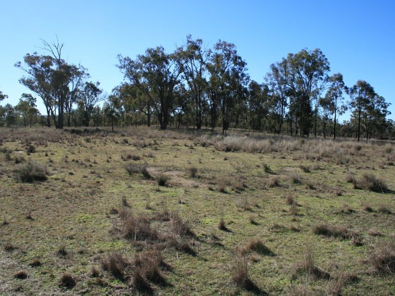 Lot 2193 Montrose Lane, Clintonvale QLD 4370