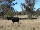 Lot 2193 Montrose Lane, Clintonvale QLD 4370