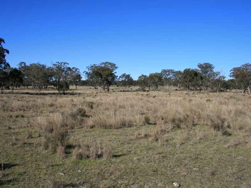 Lot 2193 Montrose Lane, Clintonvale QLD 4370