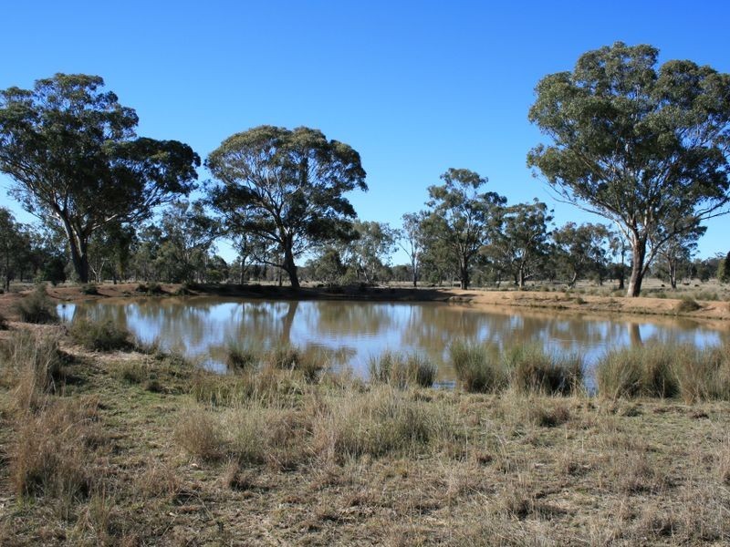 Lot 2193 Montrose Lane, Clintonvale QLD 4370