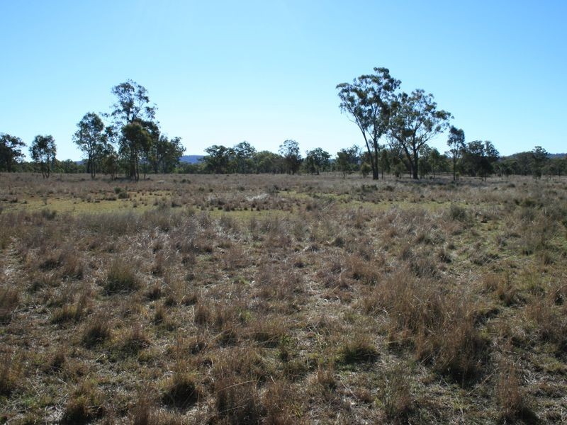 Lot 2193 Montrose Lane, Clintonvale QLD 4370