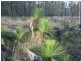 Lot 200 Mullins Road, Warwick QLD 4370