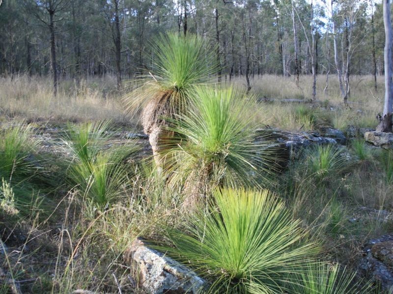 Lot 200 Mullins Road, Warwick QLD 4370