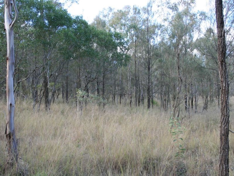 Lot 200 Mullins Road, Warwick QLD 4370