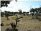 Lot 13 Springdale Road, Stanthorpe QLD 4380