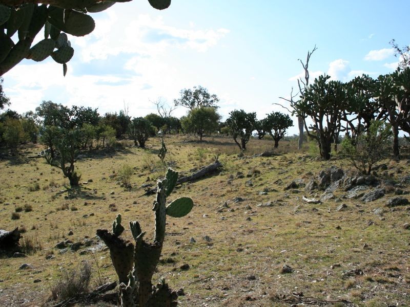 Lot 13 Springdale Road, Stanthorpe QLD 4380