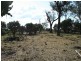 Lot 13 Springdale Road, Stanthorpe QLD 4380