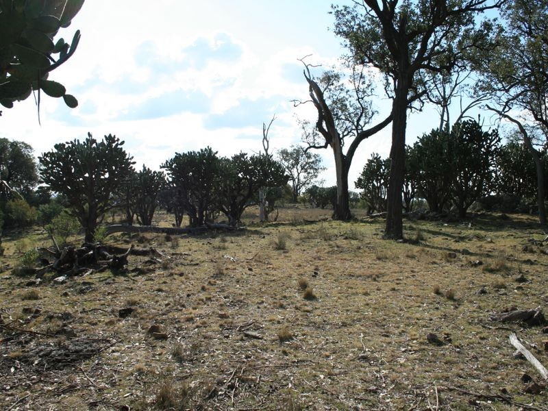 Lot 13 Springdale Road, Stanthorpe QLD 4380
