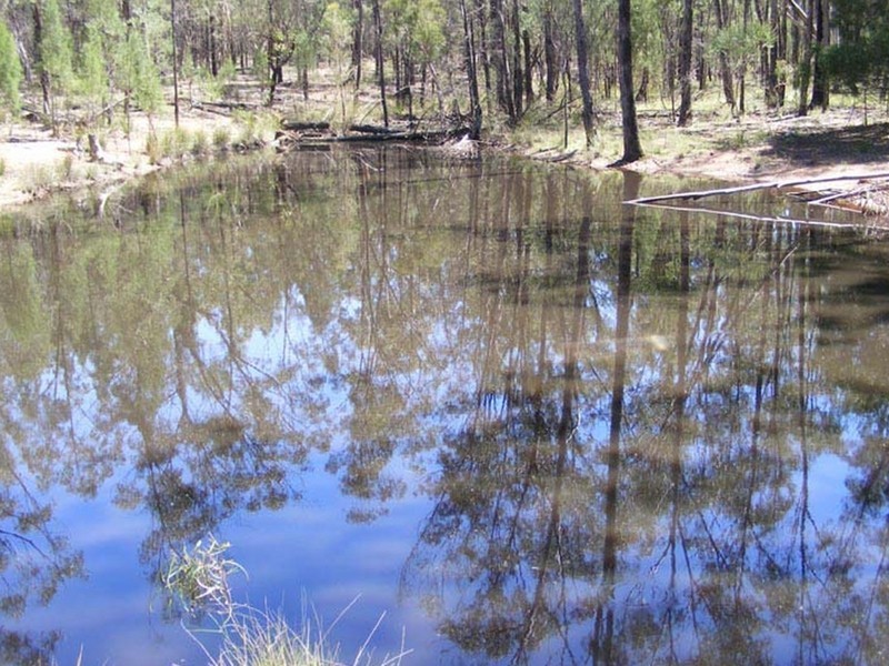 Warwick QLD 4370