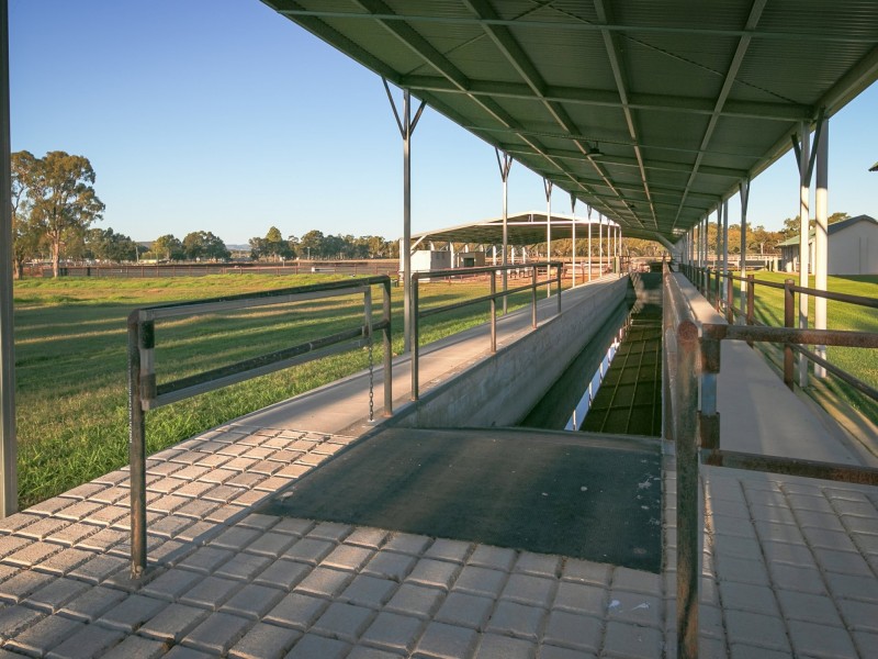 Lots 12 an Dragon Street, Warwick QLD 4370