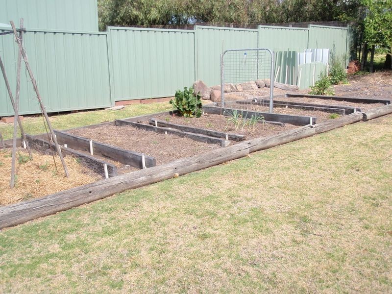 54 Pine St, Killarney QLD 4373