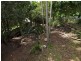 27 Stafford Street, Paddington QLD 4064