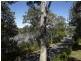 181 Hawken Drive, St Lucia QLD 4067