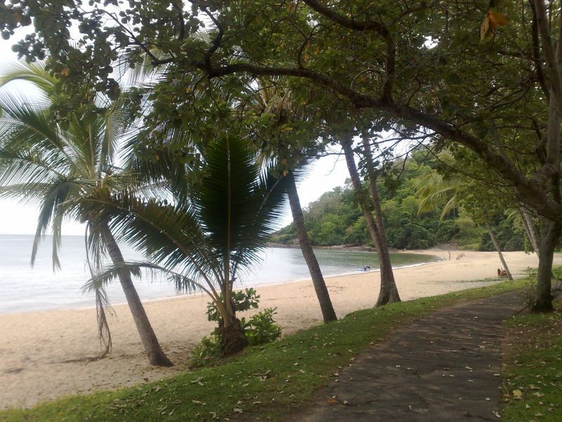 97 Cedar Road, Palm Cove QLD 4879