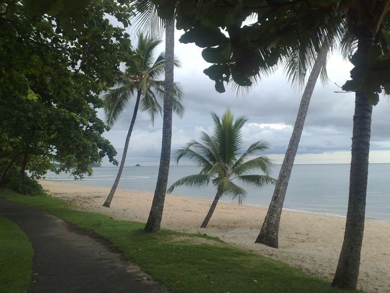 97 Cedar Road, Palm Cove QLD 4879