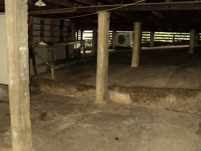 66 Broomfield Street, Taringa QLD 4068