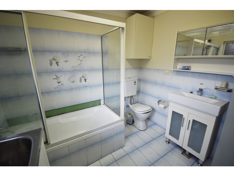 114A Derria Street, Canley Heights NSW 2166