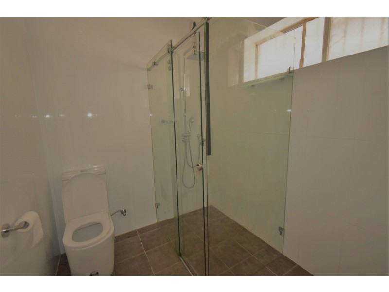 33 Junction Street, Cabramatta NSW 2166