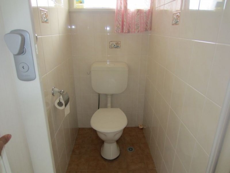 31 Jasmine Crescent, Cabramatta NSW 2166