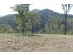 3184 Nowendoc Road, Caffreys Flat NSW 2424