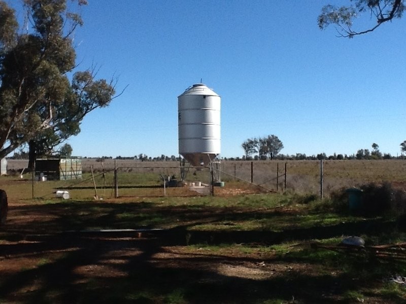 878 Trundle Bruie Plains Road, Bruie Plains NSW 2875