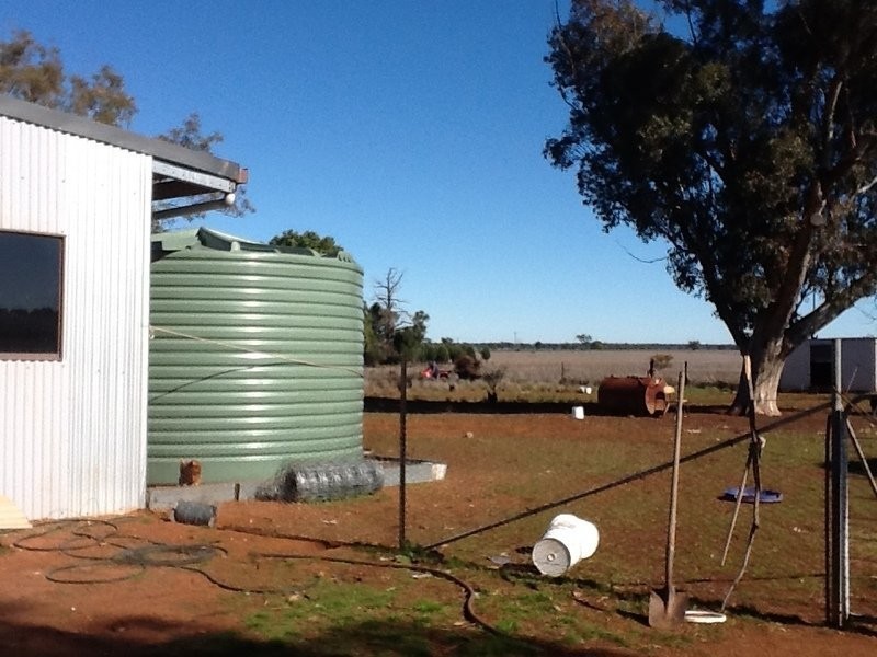 878 Trundle Bruie Plains Road, Bruie Plains NSW 2875