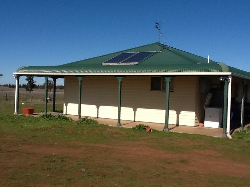 878 Trundle Bruie Plains Road, Bruie Plains NSW 2875