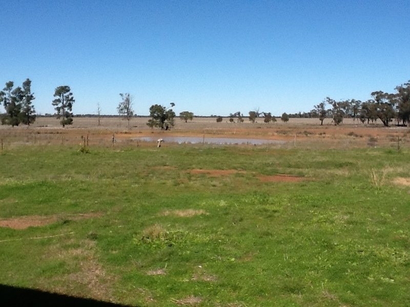 878 Trundle Bruie Plains Road, Bruie Plains NSW 2875
