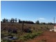 878 Trundle Bruie Plains Road, Bruie Plains NSW 2875