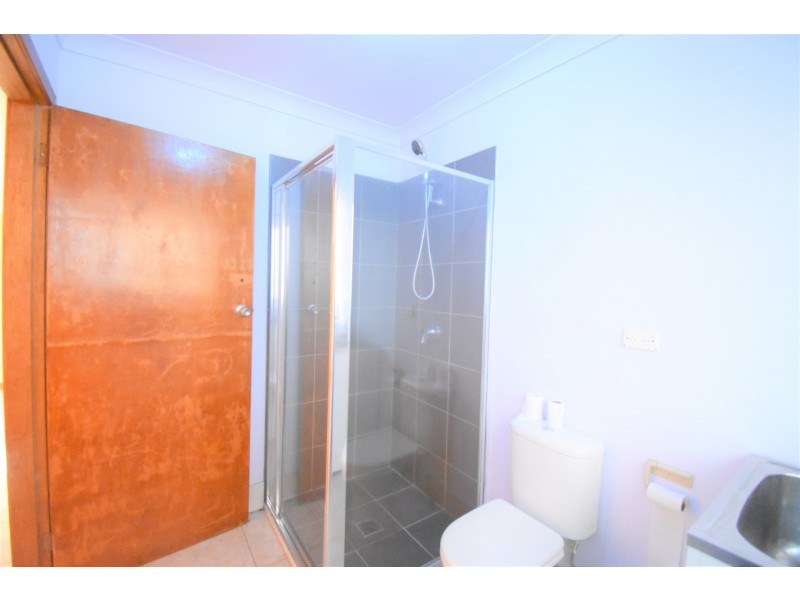 29 Alick Street, Cabramatta NSW 2166