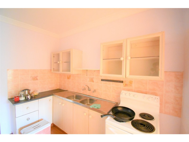 29 Alick Street, Cabramatta NSW 2166