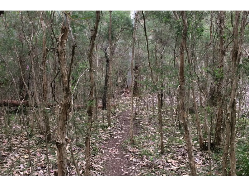 220 Goodland Road, Woollamia NSW 2540