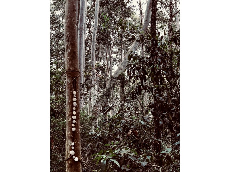 220 Goodland Road, Woollamia NSW 2540