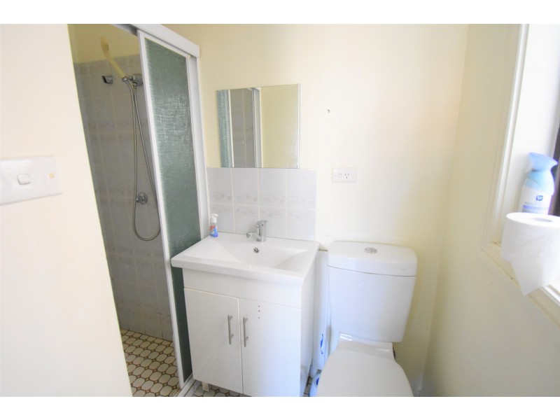 85 Torrens Street, Canley Heights NSW 2166