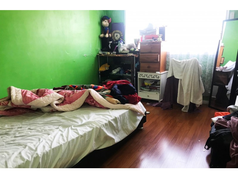 67 + 67a Brenan Street, Smithfield NSW 2164