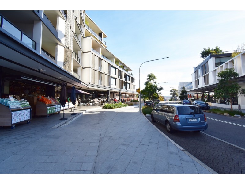 3 Nagurra Place, Rozelle NSW 2039