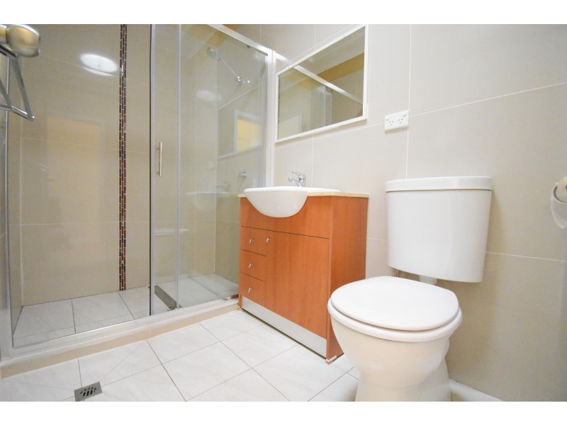 66 Smiths Avenue, Cabramatta NSW 2166