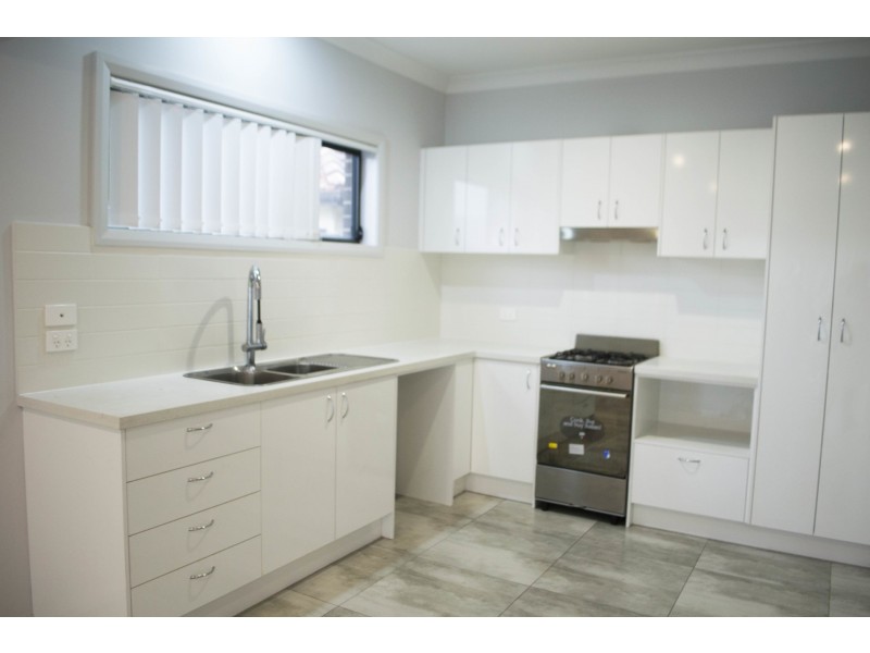 93 Wyong Street, Canley Heights NSW 2166