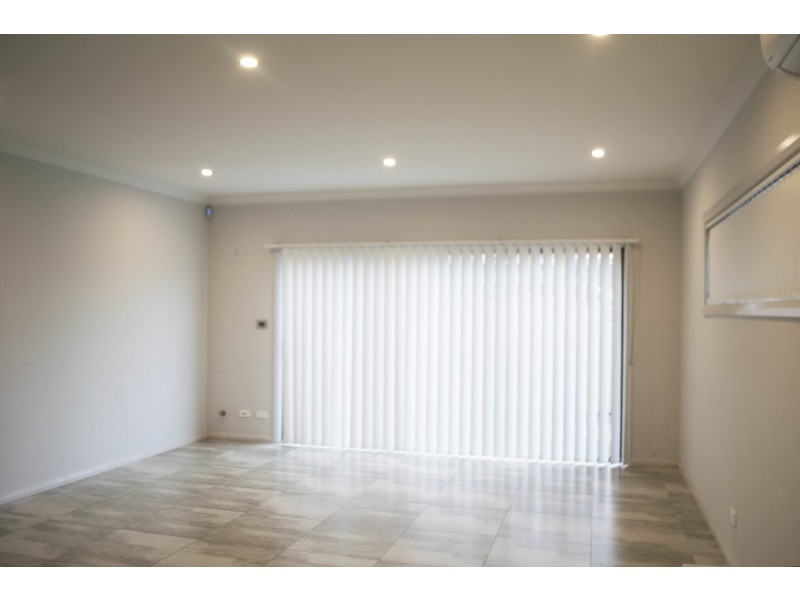 93 Wyong Street, Canley Heights NSW 2166