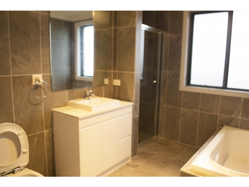 93 Wyong Street, Canley Heights NSW 2166