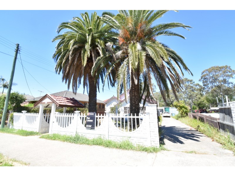 24 Moore Street, Canley Vale NSW 2166