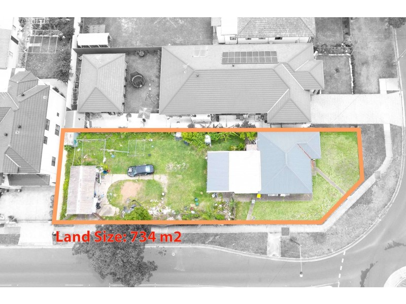 19 Vale Street, Canley Vale NSW 2166
