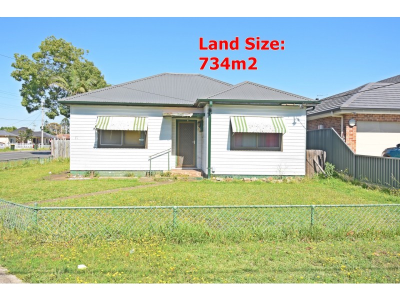 19 Vale Street, Canley Vale NSW 2166