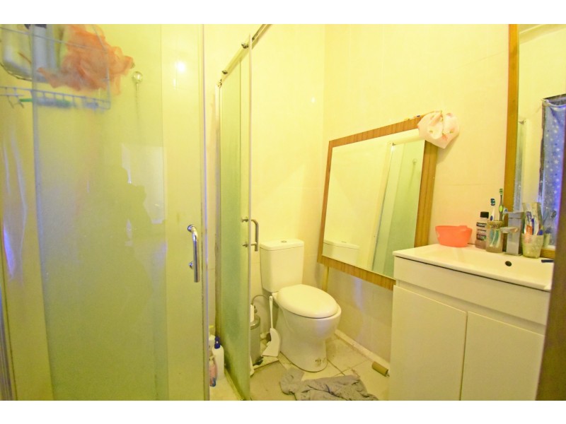 19 Vale Street, Canley Vale NSW 2166