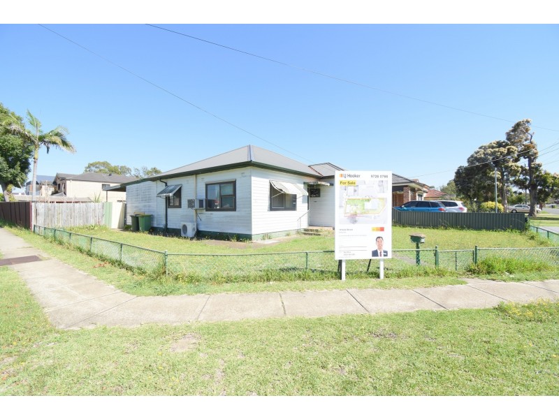 19 Vale Street, Canley Vale NSW 2166